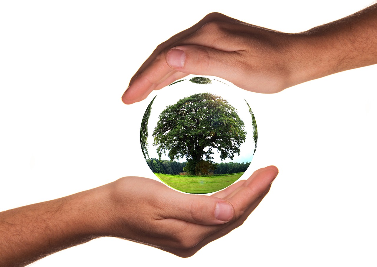 Conserving Habitats, Conserving Species: Focusing on Ecosystems